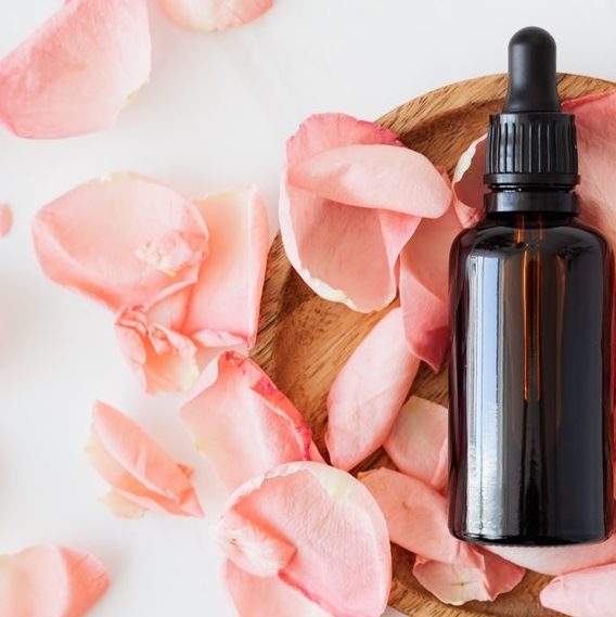 Extraordinary Beauty 